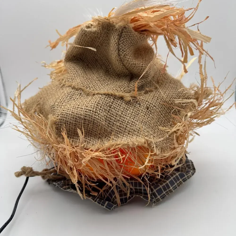 Pumpkin Hollow Fiber Optic Scarecrow Halloween Decor 11
